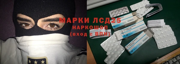 СК Заволжск